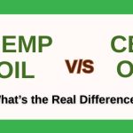 Hemp Oil vs. CBD Oil