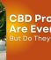 CBD Products Are Everywhere — But Do They Really Work?